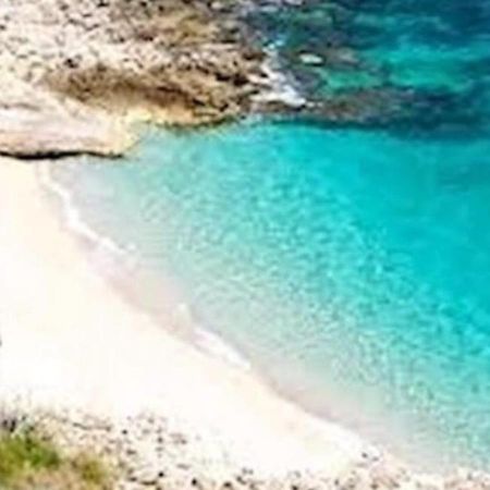 Stella Marina Hotel Castellammare del Golfo Ngoại thất bức ảnh